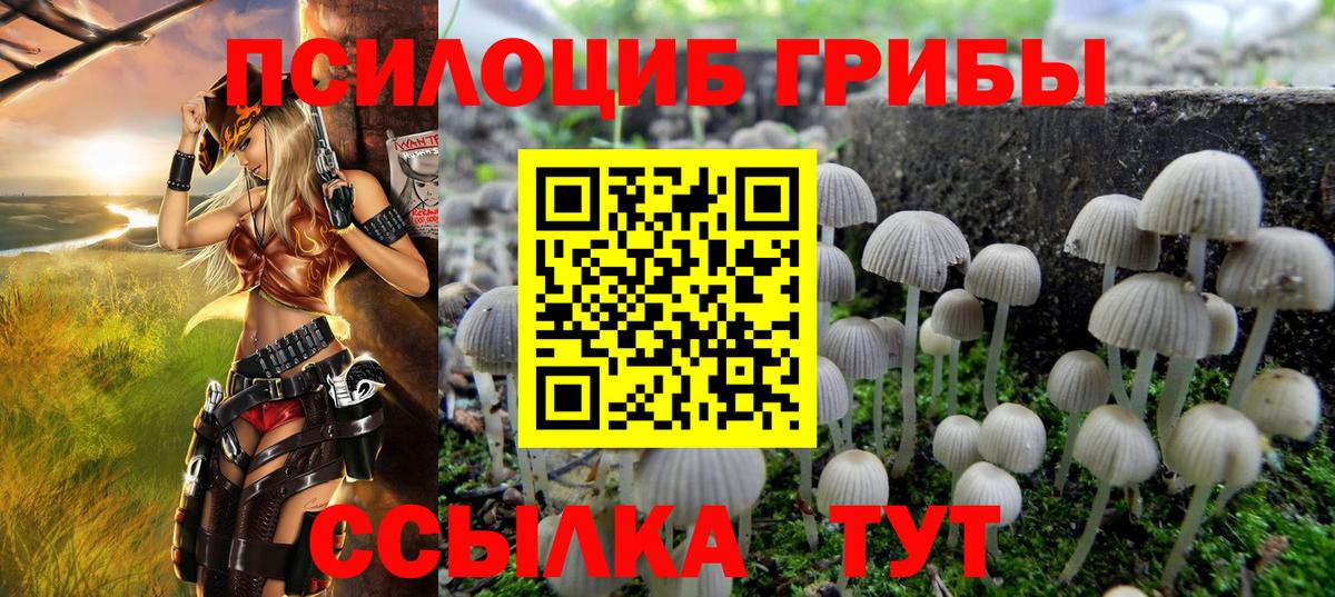 Галлюциногенные грибы Psilocybe  Псилоцибиновые грибы MAGIC MUSHROOMS  Вход с VPN  Кисловодск 